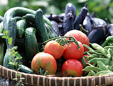 野菜は鳥取県産低農薬・有機肥料野菜